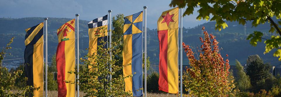 Flaggen der Gemeinde Volketswil